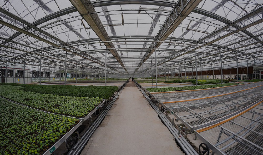 Greenhouse irrigation automation solution