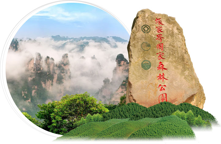 选择我们的理由